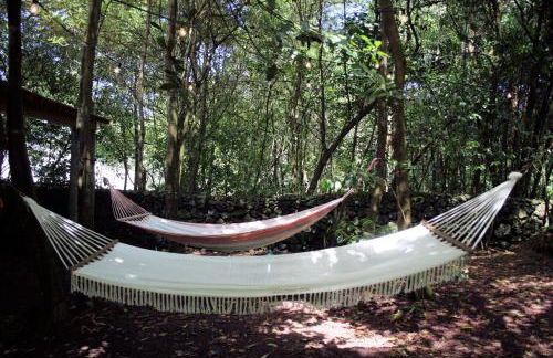 Azores Casa da Mata wellness Spa - Photo 40