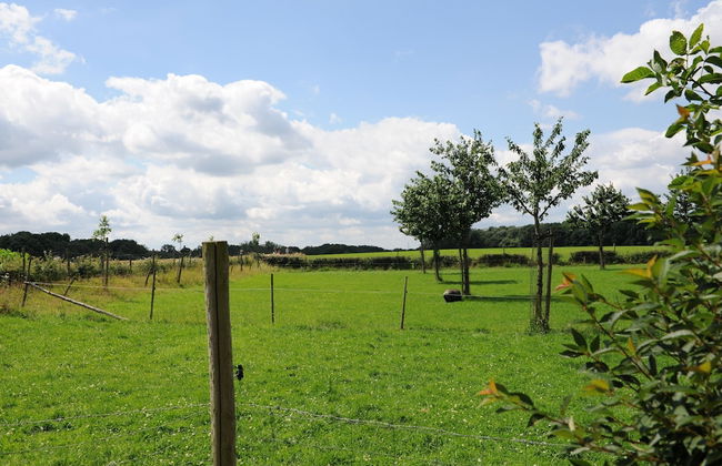 Holiday Home in Valkenburg Near Forest - Foto 29