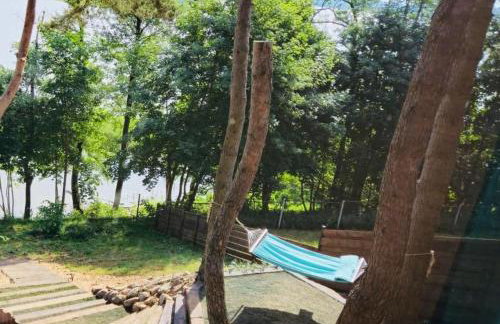 Siemiany Michałówka - Foto 33