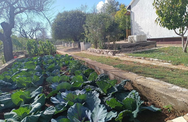 Holiday Home Višnja with Pool - Foto 25