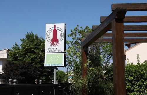 Agriturismo Cantina Morone - Foto 53