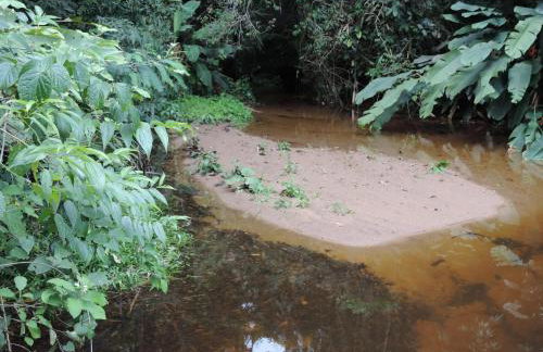 Casa Orquídeas Ubatuba Praia da Lagoinha - Foto 55