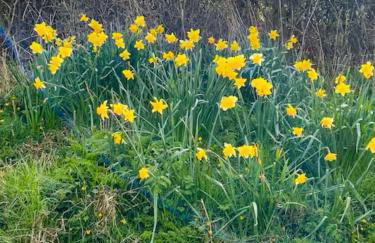 The Cottage at Sychnant Farm - Photo 38
