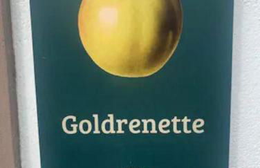 Feriendomizil im Saarschleifenland - Foto 30