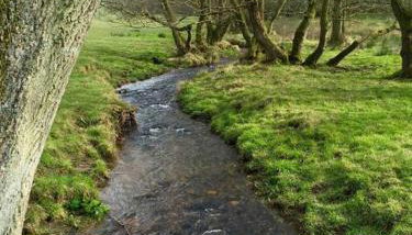 The Shippen - Open-plan barn conversion, high-spec, stunning views - Foto 4