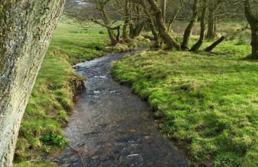 The Shippen - Open-plan barn conversion, high-spec, stunning views - Foto 4