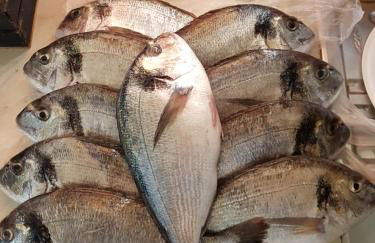 Casa Waida - Foto 31