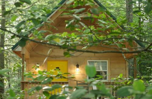 Holly Nest a Cozy Cabin Getaway near Gatlinburg - Photo 17
