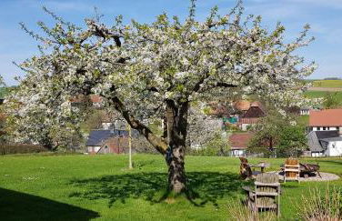 Hossies Hof - Elke - Foto 8