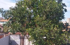 Brisa da Laguna - Foto 22