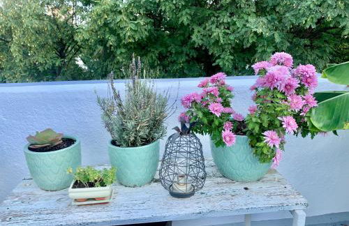 Ático Plaza España - Foto 7