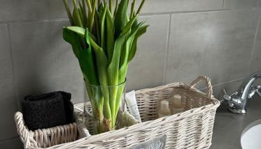 Provence Luberon Bonnieux location gite chez Marcelle - Foto 2