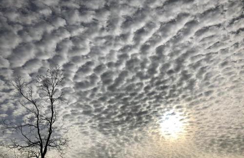 A casa di Matisse - appartamento vacanze - Foto 32