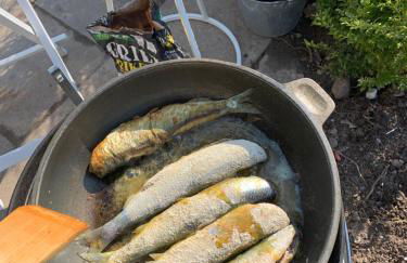 Lille Schlei Hus - Foto 27