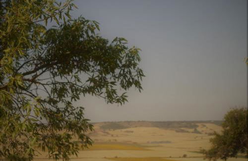 La Casa del Campillo - Foto 46