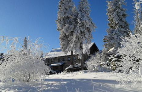 Ferienwohnung Bayerwaldblick - Foto 47