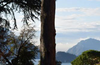 Landscapesilvia 1 Aria - Foto 14