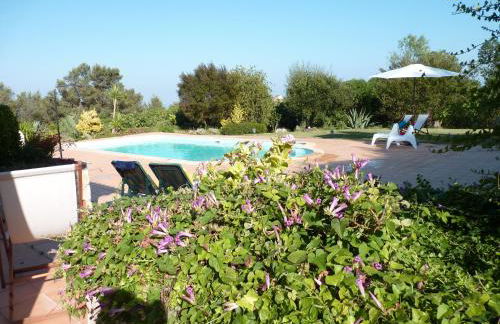 Casal das Oliveiras - Foto 69