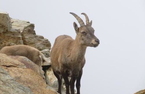 Chalet * Lioutraz * - Photo 15