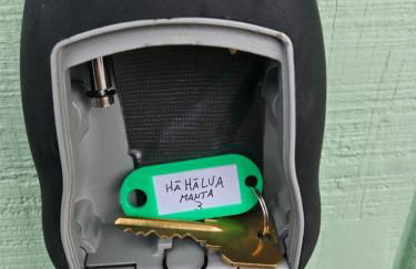 Yonegan Plumeria Hilo Hotel - Foto 75