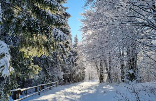 Starry Laz mountain house - Foto 35