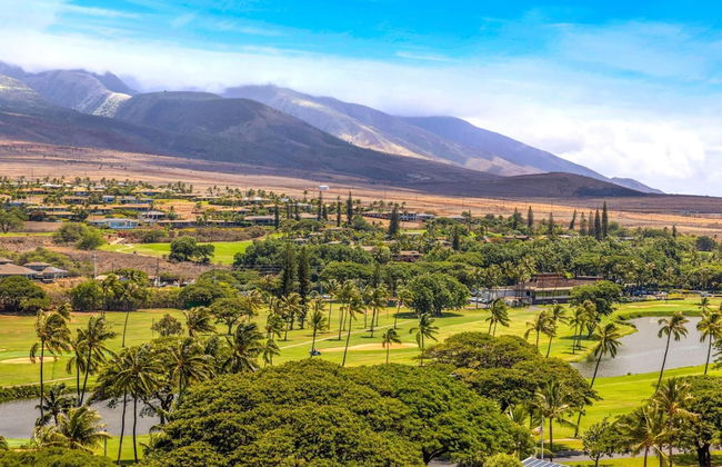 The Whaler by KBM - Foto 62