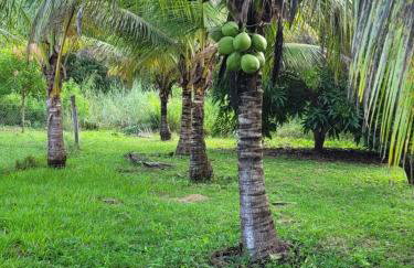 RECANTO DO SABIÁ - Foto 5