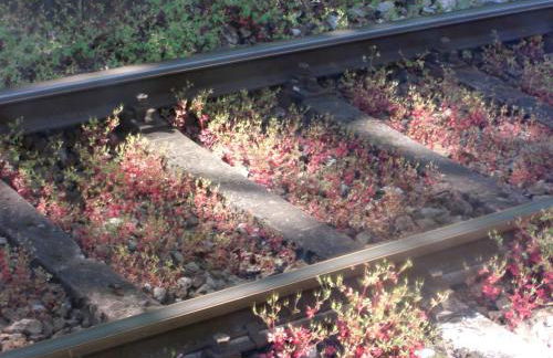 WEITBLICK "entspannen - wohlfühlen - aktiv erholen" - Foto 35