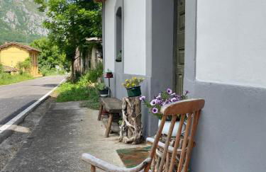 La Naranxa - Foto 43