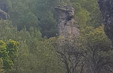 Casa Rural Casa Puntes - Photo 6