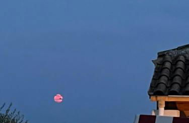 Little Corfu - Foto 18