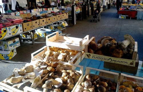 Appartamento Isabella - Foto 33