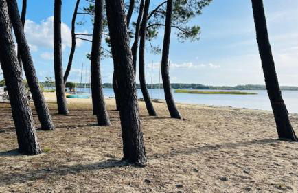 Les Cottages du Lac - Foto 16