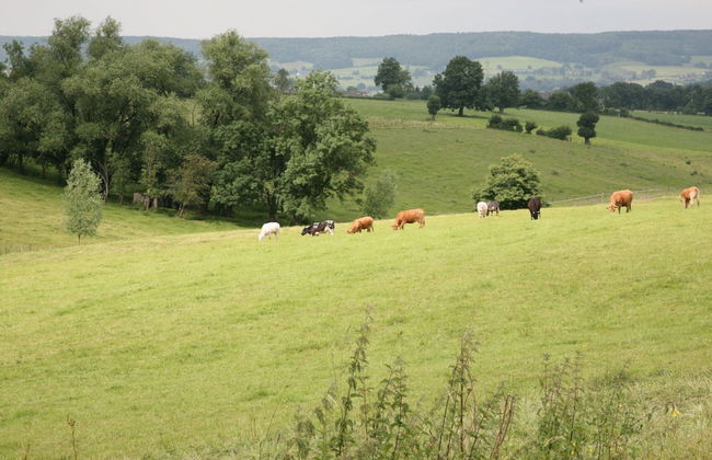 Holiday Home in Noiseux With Indoor Pool - Foto 39