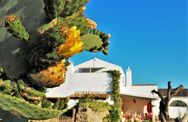 Masseria Costarella - Photo 72