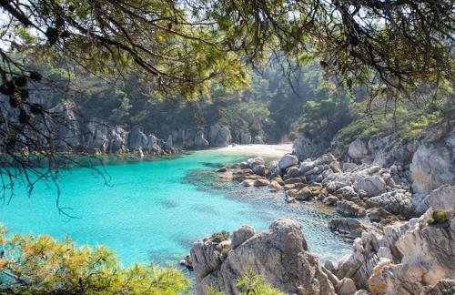 Traditionelles Appartement ATHOS SHADOW 2 am Meer - Foto 3