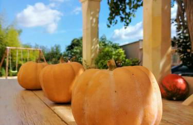 Masia Rosalia - Foto 31