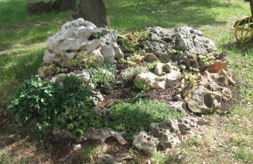 Ane Apartment - Foto 54