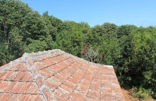 Casa Fita en El Cubo de La Galga - Photo 39