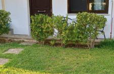 Simplicity at Iris Accommodation - Photo 11