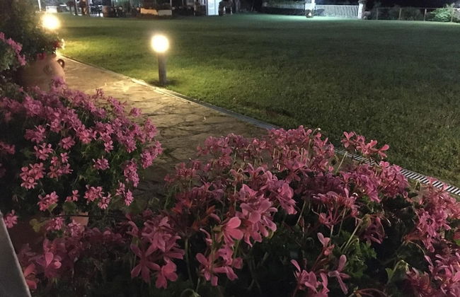 Agriturismo Podere Bucine Basso - Foto 55