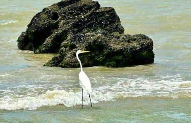 Casa à beira mar com piscina em Itamaracá - Foto 26