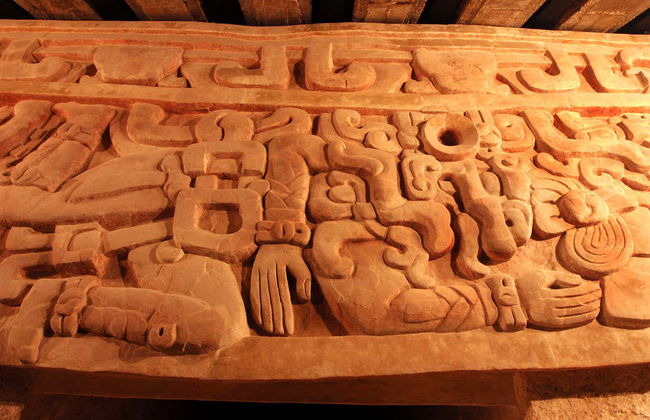 Escursione a Calakmul e Balamkú - Foto 7