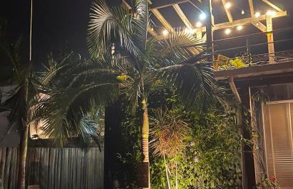 Capim Limão Containers do Rosa - Foto 9