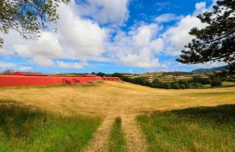 QUINTA DO FALCÃO - Foto 58