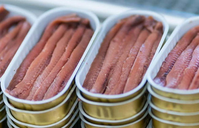 Visita a una fábrica de anchoas con degustación - Foto 1