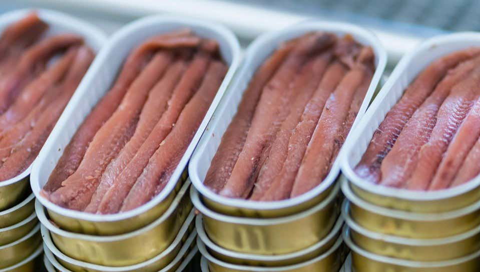 Visita a una fábrica de anchoas con degustación