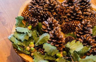 Apartaments Ca de Badia - Foto 19