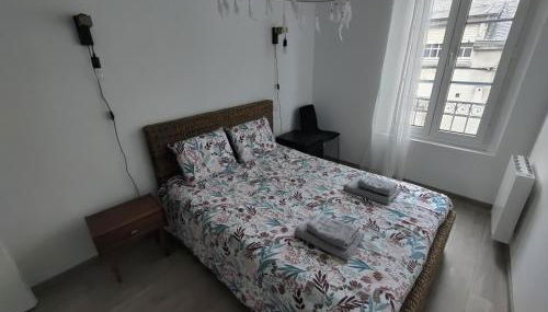 Appartement T3 PLUME Hyper centre d'ERNÉE - Foto 2