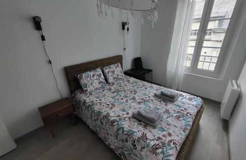 Appartement T3 PLUME Hyper centre d'ERNÉE - Foto 2